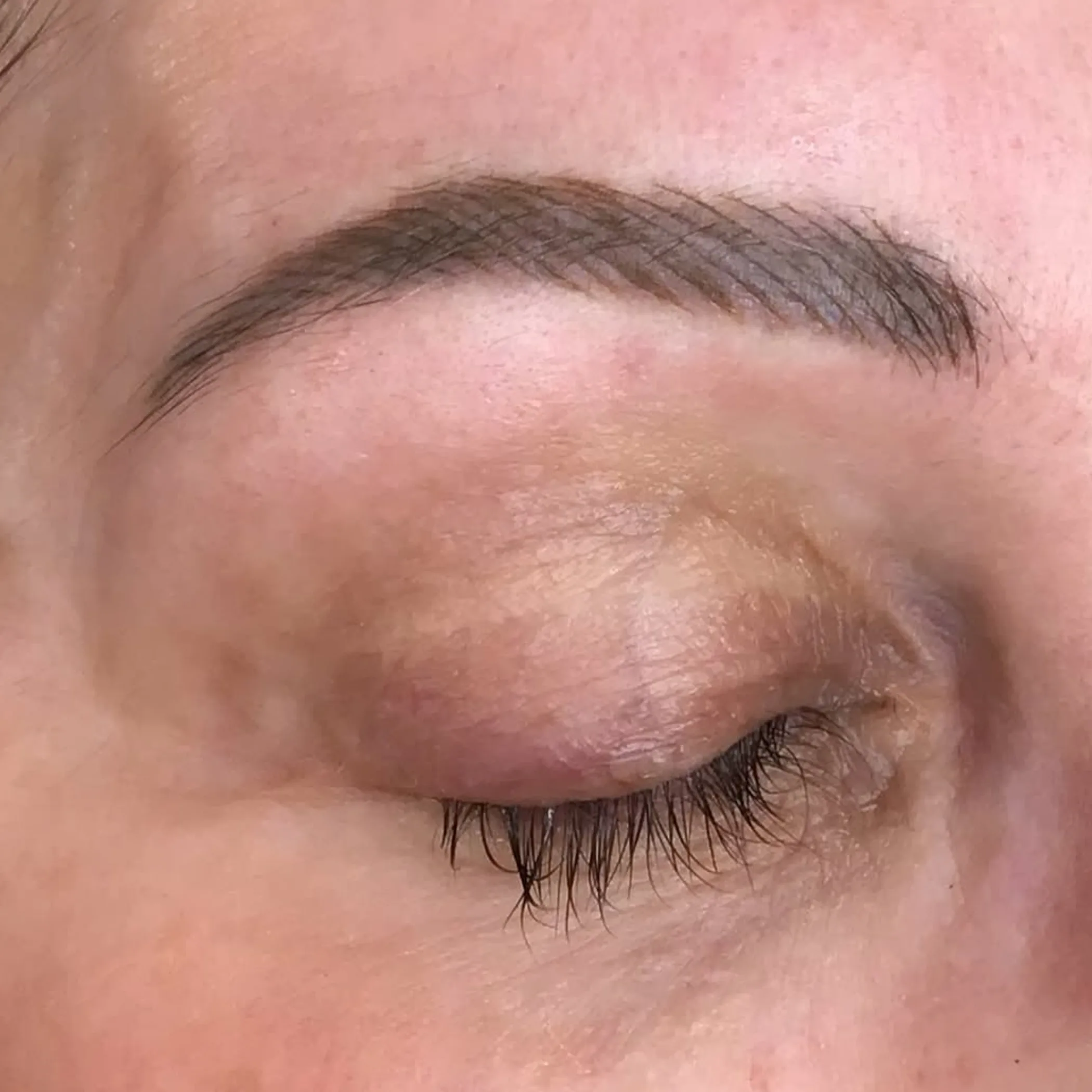 close-up of an eyebrow